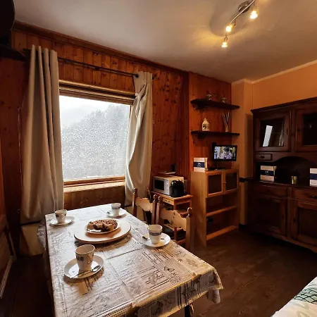 House Betulle By World