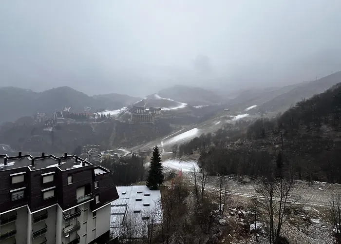 House Betulle By World *